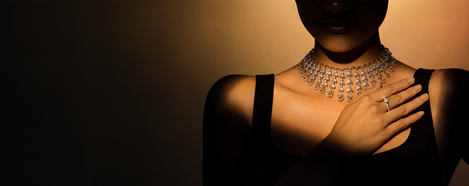 Jewelry Banner
